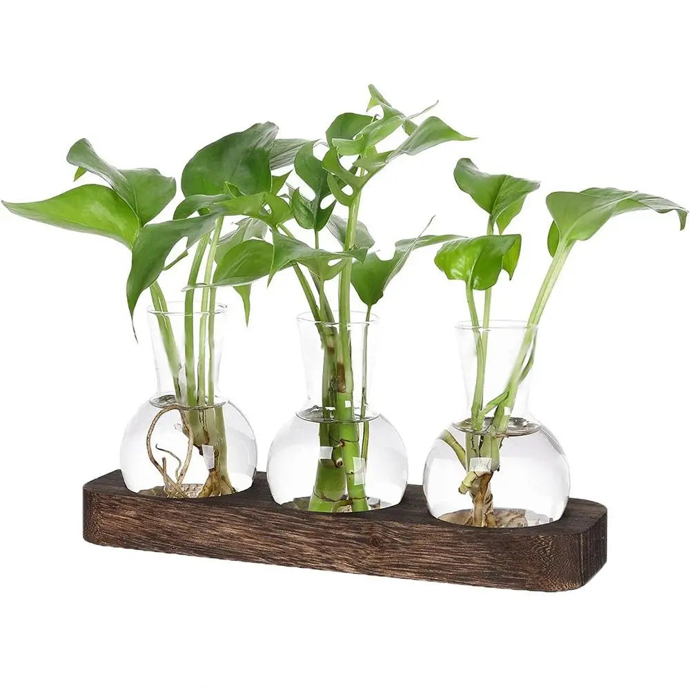 Modern Transparent Hydroponics Glass Vase with Wooden Tray Creative Plant Terrarium Propagation Station Desktop Decorating Vase