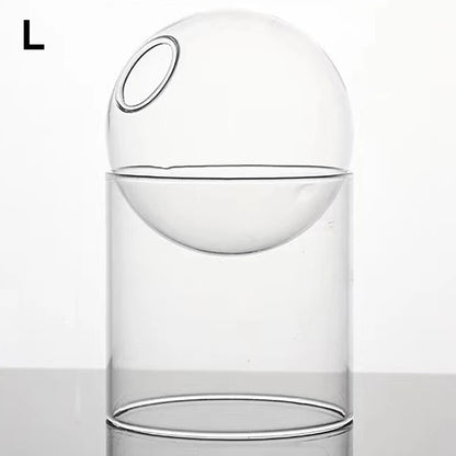 Mini Round Flower Vase Hydroponic Container Micro Landscape Glass Ecological Bottle Borosilicate Glass Bottle With Home Decorate