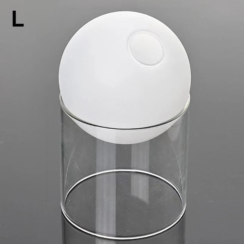 Mini Round Flower Vase Hydroponic Container Micro Landscape Glass Ecological Bottle Borosilicate Glass Bottle With Home Decorate