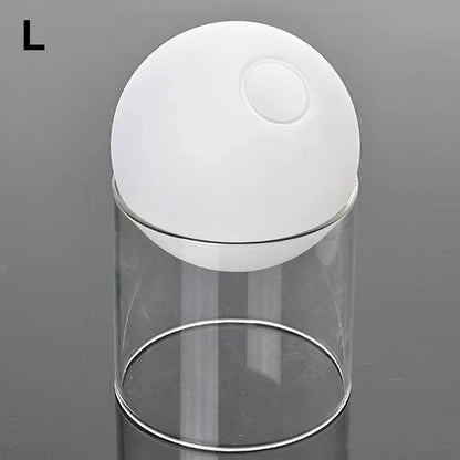 Mini Round Flower Vase Hydroponic Container Micro Landscape Glass Ecological Bottle Borosilicate Glass Bottle With Home Decorate