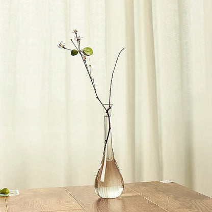 Transparent Glass Vases for Plant Bottle Japanese Zen Flower Vase Simple Hydroponic Living Room Table Decorative Flower Pot