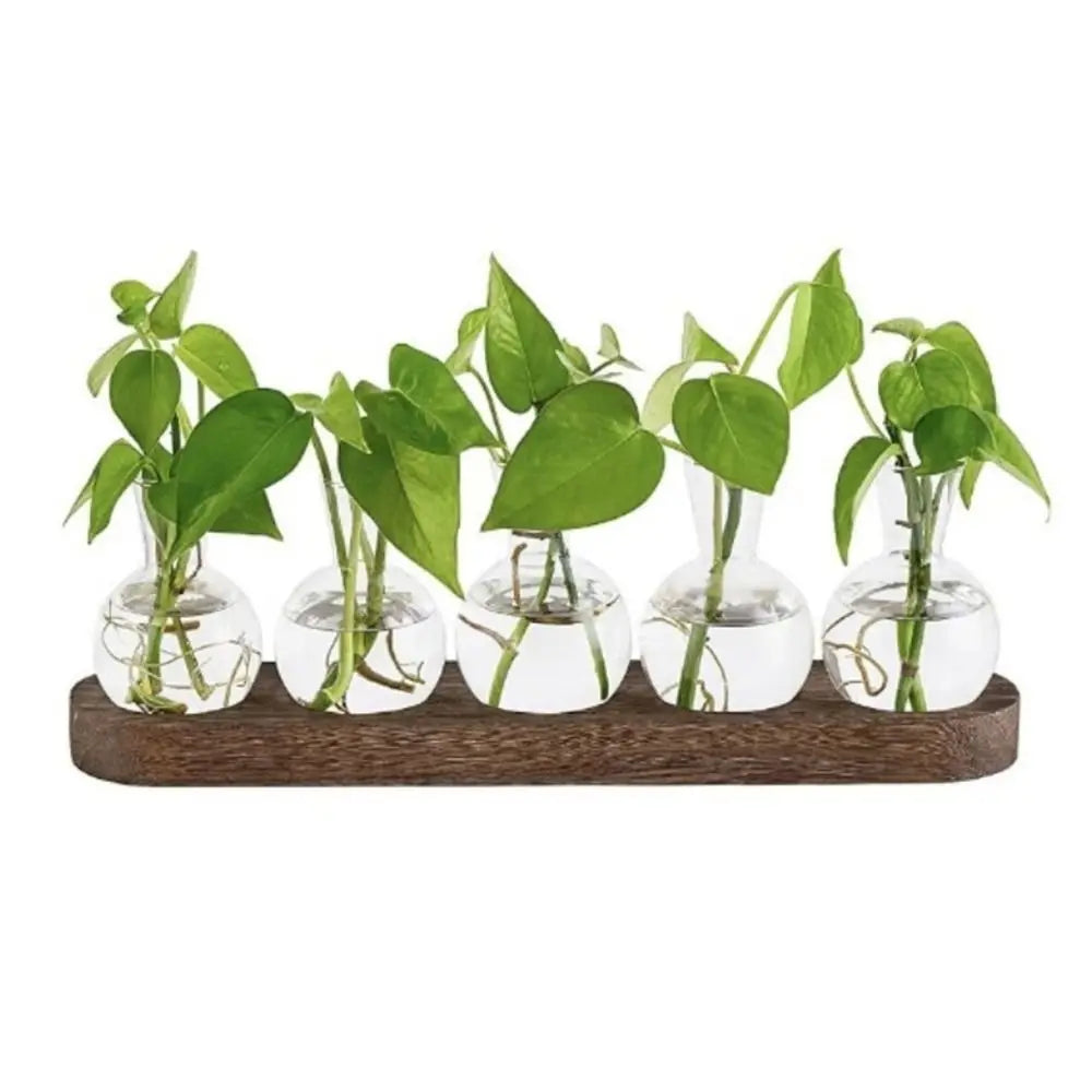 Modern Transparent Hydroponics Glass Vase with Wooden Tray Creative Plant Terrarium Propagation Station Desktop Decorating Vase