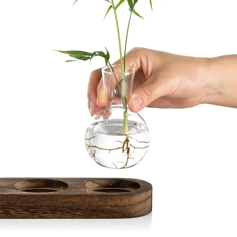 Modern Transparent Hydroponics Glass Vase with Wooden Tray Creative Plant Terrarium Propagation Station Desktop Decorating Vase