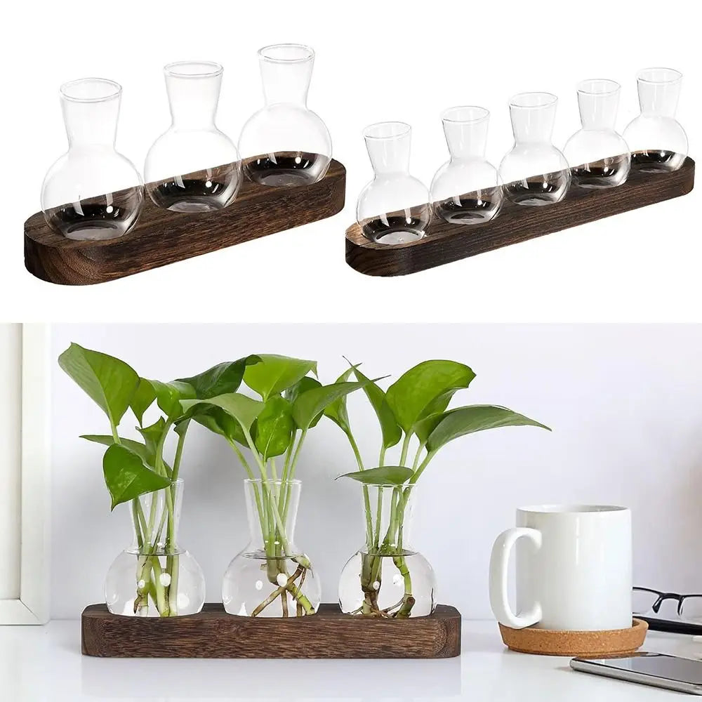 Modern Transparent Hydroponics Glass Vase with Wooden Tray Creative Plant Terrarium Propagation Station Desktop Decorating Vase