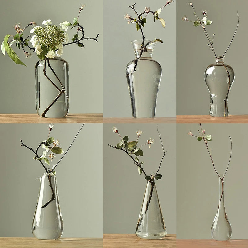 Transparent Glass Vases for Plant Bottle Japanese Zen Flower Vase Simple Hydroponic Living Room Table Decorative Flower Pot