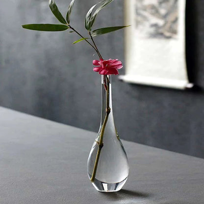 Transparent Glass Vases for Plant Bottle Japanese Zen Flower Vase Simple Hydroponic Living Room Table Decorative Flower Pot